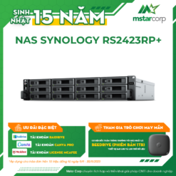 NAS SYNOLOGY RS2423RP+