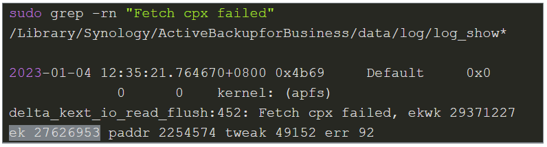 Tìm và loại bỏ dữ liệu bị hỏng để sửa lỗi 49244 trong Active Backup for Business bước 3